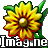 Imagine 图片浏览器 1.0.9 x64位免费版