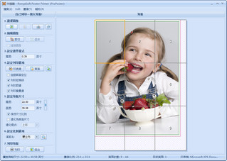 RonyaSoft Poster Printer 3.01.39 中文注册版软件截图