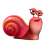 蜗牛影视盒 1.0.0.1