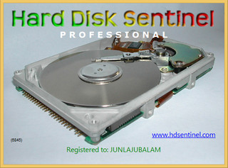 Hard Disk Sentinel Pro绿色版 5.61.5 永久激活版软件截图