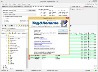 Tag&Rename 3.8 正式版软件截图