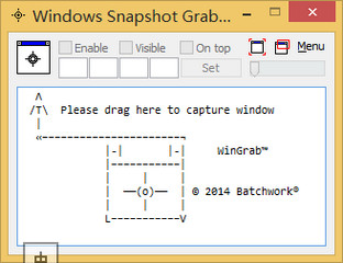 Windows Snapshot Grabber 2014 6.819.2184软件截图