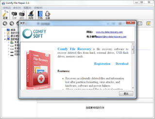 Comfy File Repair 修复损坏文件 1.1软件截图