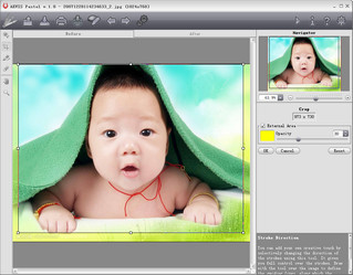 AKVIS Pastel 照片蜡笔效果 64位 1.0.152m 特别版软件截图