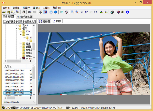 Vallen JPegger 图像查看器 5.70 中文版软件截图