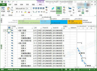 Microsoft Project 2013 SP1 简体中文版软件截图