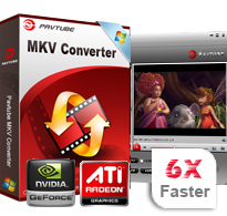 Pavtube MKV Converter 4.5.1.5363 已注册版软件截图