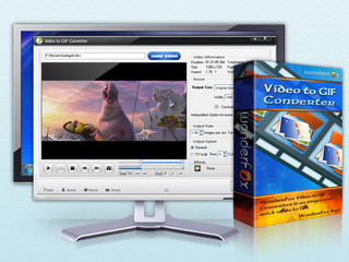 WonderFox视频转GIFWonderFox Video to GIF Converter 1.2软件截图