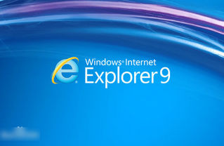 IE9浏览器 Internet Explorer 9 32/64位 简体中文正式版软件截图