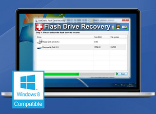 SoftOrbits Flash Drive Recovery 3.0.0.0 特别版软件截图