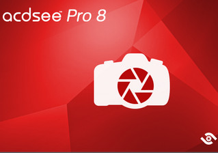 ACDSee Pro 8 (64-bit)软件截图