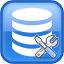 Database Workbench Pro 5.0.6 专业版