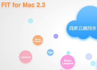 FIT中文输入法 2.3.0 正式版软件截图