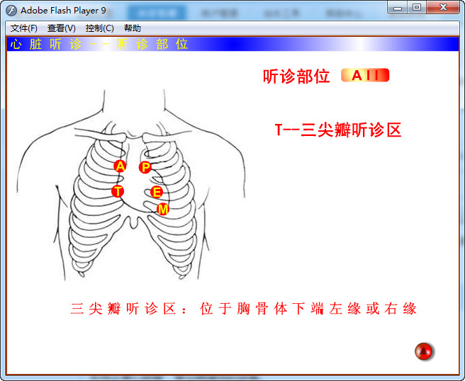 心肺听诊软件