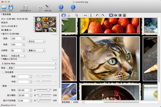photozoom pro 6 mac 6.0.2软件截图