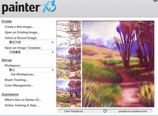 Corel Painter X3 简体中文版软件截图