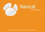 Navicat for SQL Server 11.1.13