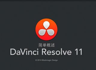 DaVinci Resolve Studio 11中文版 11.1.3软件截图