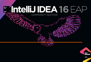 IntelliJ IDEA16汉化补丁 2016.3.3 独家汉化软件截图