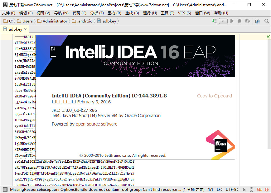 IntelliJ IDEA16汉化补丁
