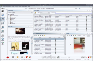 Jajuk音乐管理播放器 1.10.9软件截图