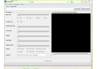 Instagiffer GIF动画制作软件 1.7.5软件截图