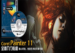Corel Painter 11 汉化中文版软件截图