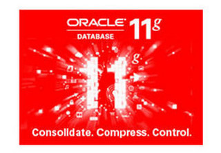 Oracle 11g客户端 32/64位 附安装图解教程软件截图
