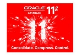 Oracle 11g客户端 32/64位 附安装图解教程
