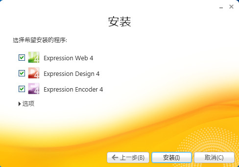 Expression Design 4