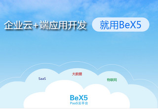 BeX5企业快速开发平台 3.7软件截图