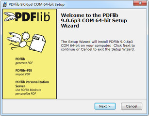 PDFlib Word转PDF 9.0.6软件截图
