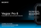 Vegas Pro 8.0 汉化破解版
