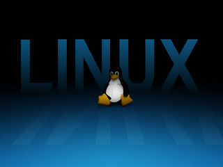 Linux桌面TinyCore/CorePlus版 2016软件截图