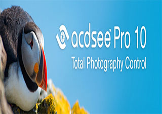 ACDSee Pro 10汉化包 免费版软件截图