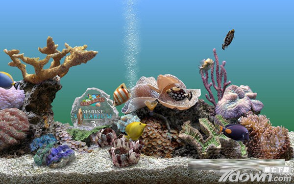 Win10 3D热带鱼水族箱屏保汉化版