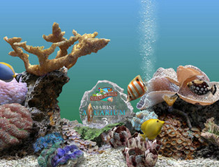 Win10 3D热带鱼水族箱屏保汉化版 3.3 最新免费版软件截图