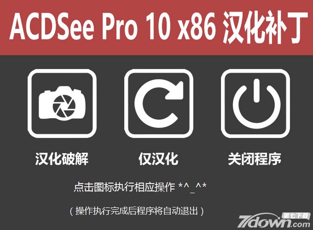 ACDSee Pro 10汉化包