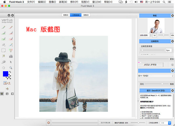 Fluid Mask Mac 破解版 3.3.16 汉化版