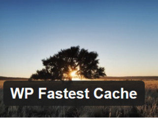 WP Fastest Cache专业版 0.8.6.9 最新版软件截图