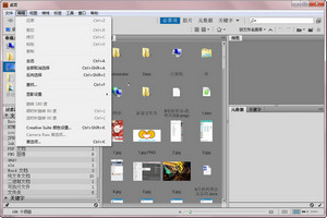 Adobe Bridge CS5 4.0.0.529 绿色中文版软件截图
