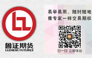 鲁证期货咏春客户端绿色版 17.03 中文版软件截图