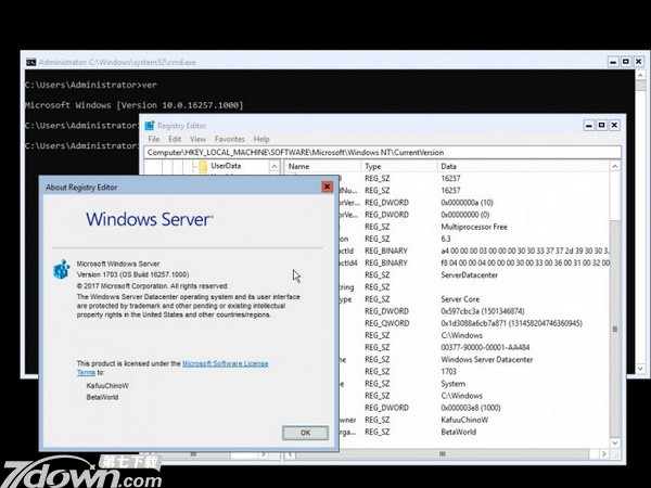Windows Server Insider Build 16257
