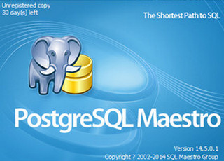 PostgreSQL 9.6 Mac 9.6.13 中文版软件截图