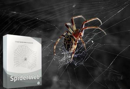 C4D蜘蛛网插件AEscripts SpiderWeb