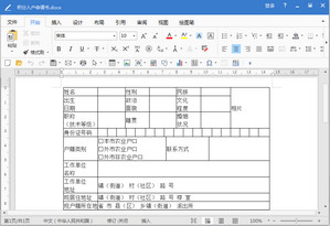 重庆市积分落户申请表 2018 打印版软件截图