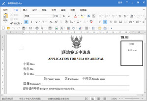 泰国落地签证申请表高清打印版 免费版软件截图