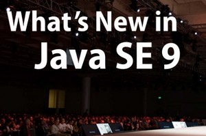 Java SE Development Kit 9 x64 9.0.4软件截图