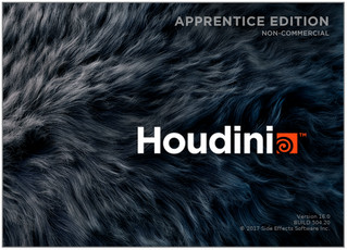 Houdini16.5破解版 16.5.496 汉化版软件截图