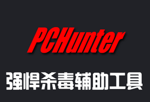 PC Hunter Win10 1.5.4软件截图